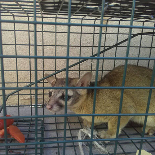 controlReubicacion 1