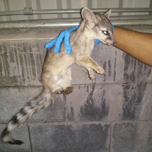 controlReubicacion 2