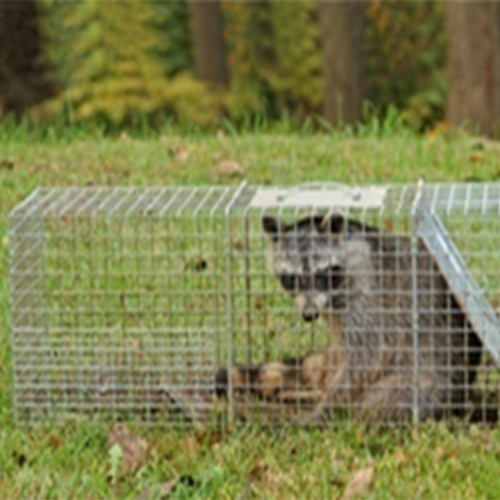 controlReubicacion 3