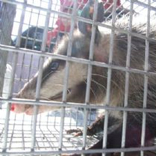 controlReubicacion 4